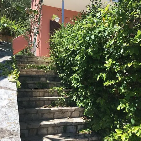 Dream View * בניטסס